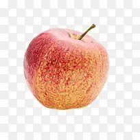 食品 减肥食品 减肥-空若网 食品 减肥食品 减肥-空若网