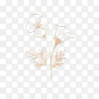 叶子 树枝 花-空若网 叶子 树枝 花-空若网