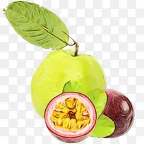 ʳƷ ����ʳƷ ��ʳʳƷ-������