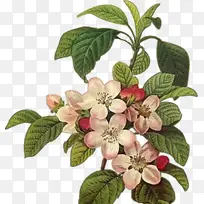 彩绘 水彩 素描-空若网 彩绘 水彩 素描-空若网