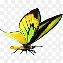 �ɶ�ͺ��� ���� ����-������