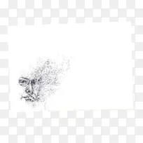 白色 画图 线条-空若网 白色 画图 线条-空若网