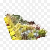 草 树 黄色-空若网 草 树 黄色-空若网