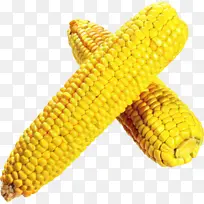 玉米棒 玉米 博客-空若网 玉米棒 玉米 博客-空若网