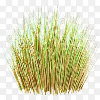 ����� ��� ����Ʒ-������