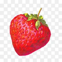 草莓 浆果 水果-空若网 草莓 浆果 水果-空若网