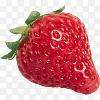草莓 浆果 食品-空若网 草莓 浆果 食品-空若网