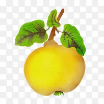 ʳƷ �Ϲ� ��ȻʳƷ-������