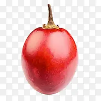 ²É¹º²úÆ·Ê¥µ®×°ÊÎÆ· Ê¥µ®½Ú Æ»¹û-¿ÕÈôÍø ²É¹º²úÆ·Ê¥µ®×°ÊÎÆ· Ê¥µ®½Ú Æ»¹û-¿ÕÈôÍø