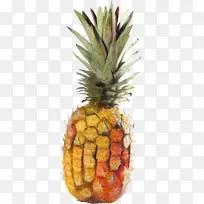 ���� ˮ�� ��ȻʳƷ-������