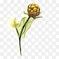 昆虫 植物茎 花-空若网 昆虫 植物茎 花-空若网