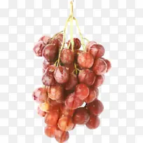 ʳƷ ����ˮ�� ����-������