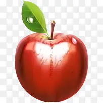 ʳƷ ����ʳƷ ��ȻʳƷ-������