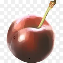 水果 博客 李子-空若网 水果 博客 李子-空若网