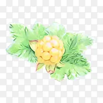 蔬菜 水果 叶子-空若网 蔬菜 水果 叶子-空若网