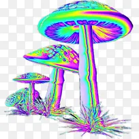 线条 树 紫色-空若网 线条 树 紫色-空若网