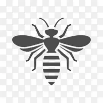 蜜蜂 昆虫 黄蜂-空若网 蜜蜂 昆虫 黄蜂-空若网