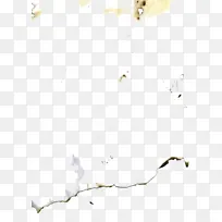 ֽ ֽ���� ��֦-������