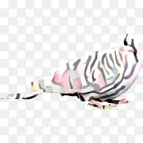 ���� Ь�� ��ɫ-������