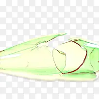 叶子 昆虫 植物-空若网 叶子 昆虫 植物-空若网