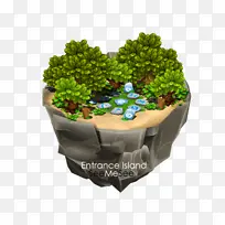 博客 岛屿 室内植物-空若网 博客 岛屿 室内植物-空若网