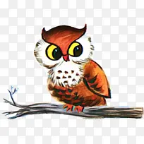 猫头鹰 鸟 纸-空若网 猫头鹰 鸟 纸-空若网