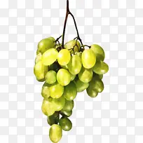 采购产品无籽水果 葡萄 水果-空若网 采购产品无籽水果 葡萄 水果-空若网