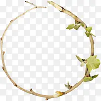 Ҷ�� ��֦ ֲ��-������