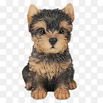 约克郡梗 诺里奇梗 凯恩梗-空若网 约克郡梗 诺里奇梗 凯恩梗-空若网