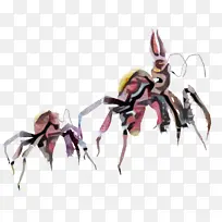 十足目 昆虫 害虫-空若网 十足目 昆虫 害虫-空若网