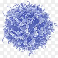 ��֢ ����ѧ ����-������