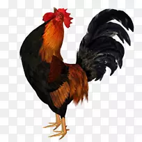 鸡公鸡动画-空若网 鸡公鸡动画-空若网