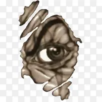 ������ ���� ����-������