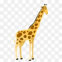 长颈鹿 狮子 动物-空若网 长颈鹿 狮子 动物-空若网