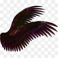 �滭 ��ɫ ���-������