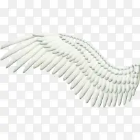 天使 标志 翅膀-空若网 天使 标志 翅膀-空若网