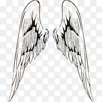 绘画 翅膀 电子游戏-空若网 绘画 翅膀 电子游戏-空若网