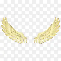 天使 素描 翅膀-空若网 天使 素描 翅膀-空若网