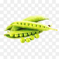 ʳƷ �߲� �л�ʳƷ-������