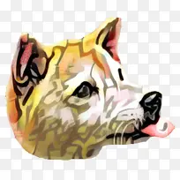 秋田 伯尔尼山狗 澳大利亚牛狗-空若网 秋田 伯尔尼山狗 澳大利亚牛狗-空若网