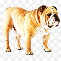 斗牛犬 德国牧羊犬 古英国斗牛犬-空若网 斗牛犬 德国牧羊犬 古英国斗牛犬-空若网