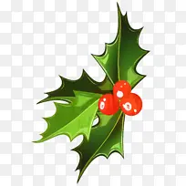 槲寄生 圣诞节 复古圣诞节-空若网 槲寄生 圣诞节 复古圣诞节-空若网