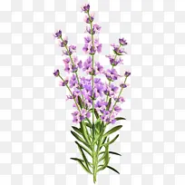 ޹�²� ���� ��ҳ���-������