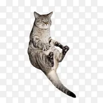 è ����è ��Ȯ-������