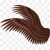 �滭 ��� ާ��-������