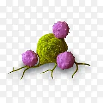 癌症 肿瘤学 健康-空若网 癌症 肿瘤学 健康-空若网