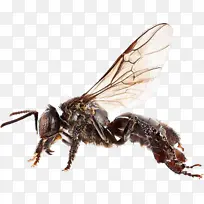 �۷� ��¬�� ����-������