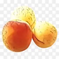 根类蔬菜 水果 根-空若网 根类蔬菜 水果 根-空若网