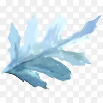 水 树 植物-空若网 水 树 植物-空若网