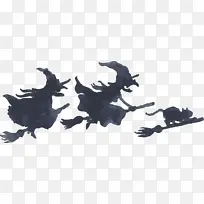 Ë®²Ê» Å®Î× »æ»-¿ÕÈôÍø Ë®²Ê» Å®Î× »æ»-¿ÕÈôÍø